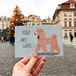 You are cute